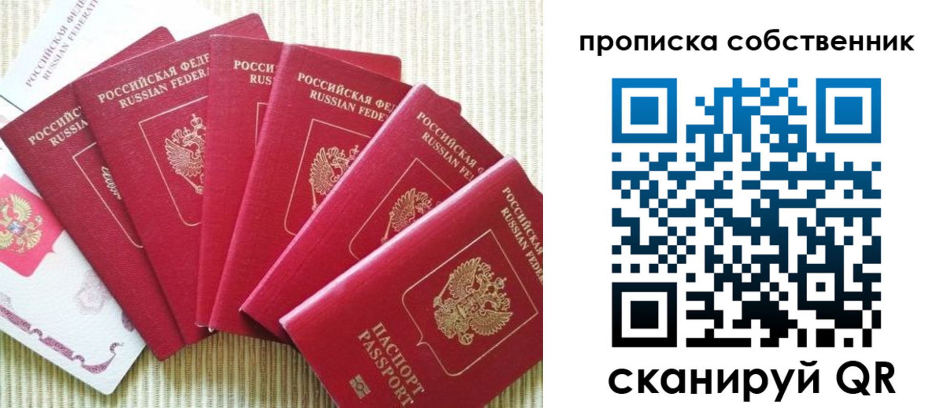прописка в Оленегорске